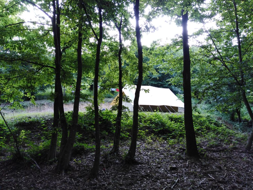 Forest camping Croatia