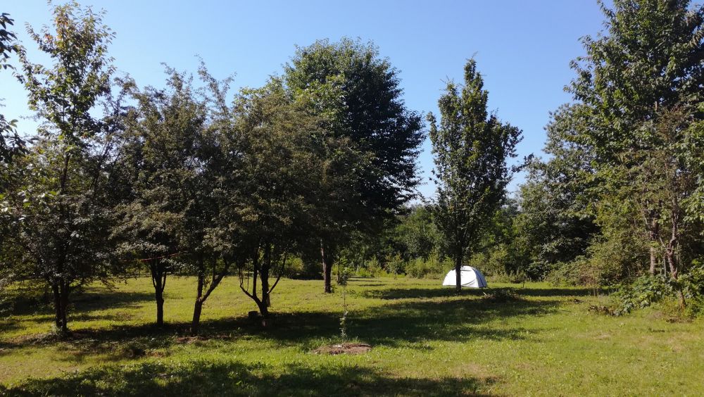 Eco camping in Croatia