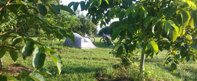 Eco camp site