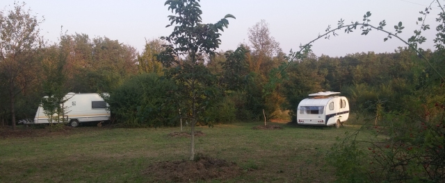 Natural camp site